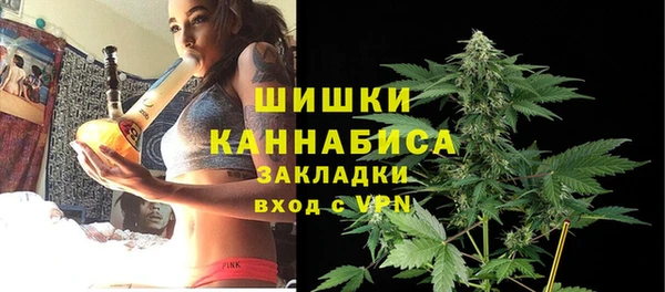 винт Алексин