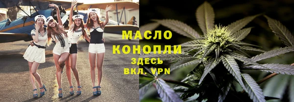 дмт Алзамай