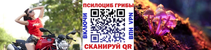 Галлюциногенные грибы прущие грибы  где купить   Бавлы 